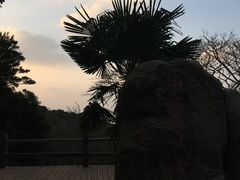 -普陀山慧济禅寺