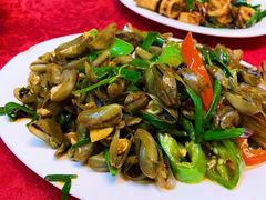 海瓜子-蛇口康乐快餐鱼仔档(翠苑小区店)