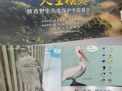 -陕西科学技术馆