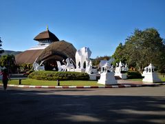 -清迈夜间动物园