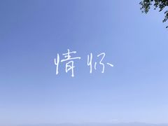 -小贝壳酒楼(经九路店)