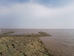 -南汇嘴观海公园