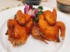 红烧乳鸽-沙龙酒家