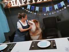 -百好乐宠物友好餐厅(朝外大街店)