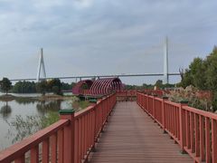 -芒洲湿地公园