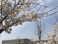 -南京邮电大学(仙林校区)