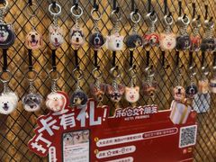 -和它·交个朋友·狗咖猫咖(爱琴海店)
