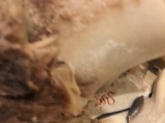 -天都火锅酒楼(虹梅南路店)