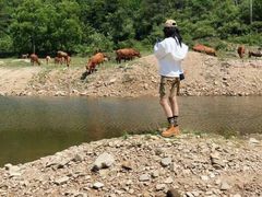 -木兰云雾山