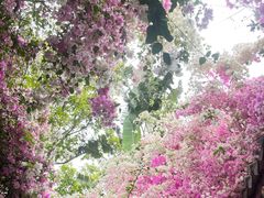 -深圳国际园林花卉博览园