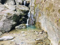 -牛背梁国家森林公园