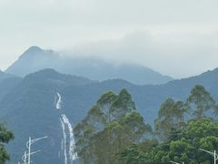 -盛得农家美食·无花果浸鸡·古法烧鸡·竹筒饭(白水寨森林海店)