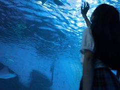 -泉城欧乐堡海洋极地世界