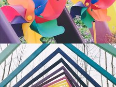 -合肥滨湖国家森林公园