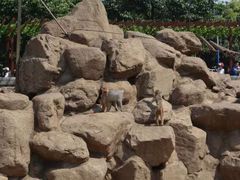 -西安秦岭野生动物园