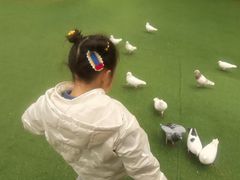 -南通洲际绿博园