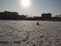 -河海大学(江宁校区)