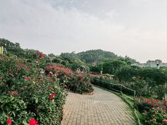 -立新湖公园