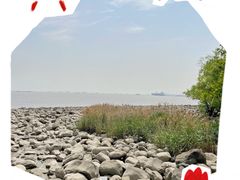 -上海吴淞炮台湾国家湿地公园