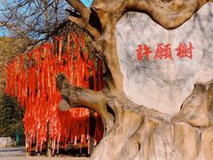 -八大处公园