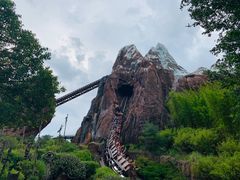 -奥兰多迪士尼动物王国乐园