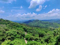 -黄埔油麻山森林公园