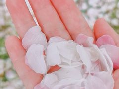 -海棠花溪(元大都城垣遗址公园)