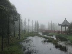 -广州市石门国家森林公园