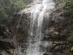 -九龙江国家森林公园