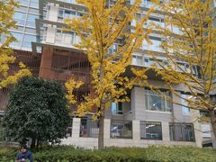 -SnowPeak Cafe(上海环宇城Max店)