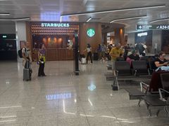 -米兰马尔彭萨国际机场