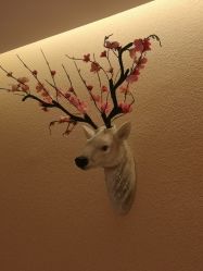 -琦品高端美容SPA会所