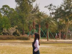 -玫瑰海岸文化旅游度假区