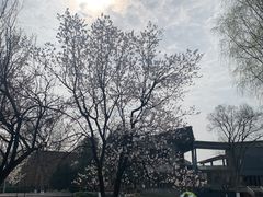 -国际非物质文化遗产博览园