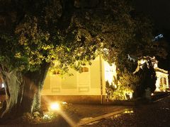 -龙环葡韵住宅式博物馆