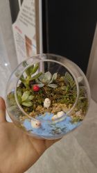 -宝生月子中心·独栋独院式(南山店)