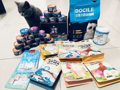 -屋虎猫馆(宝安大仟里店)