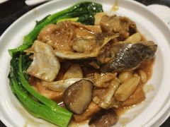 -新兴·金羊座·粤菜点心(乐峰店)