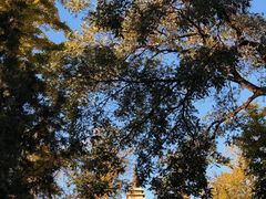 -北京石刻艺术博物馆(五塔寺)