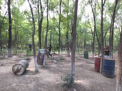 -亲兄弟真人CS团建拓展基地