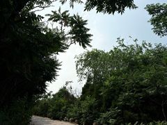 -南翠屏公园
