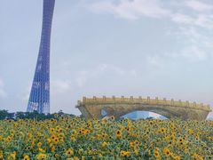 -海心沙亚运公园