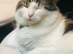 -小时光咖啡馆(北锣鼓巷店)