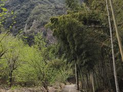 -楠溪江石桅岩