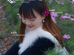 -洋湖国家湿地公园