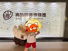 -青岛贝壳博物馆