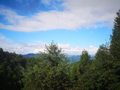 -玉舍国家森林公园