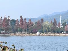 -密印寺