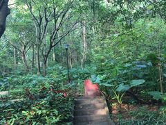 -广州市白云山风景名胜区