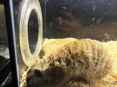 -太平洋海底世界